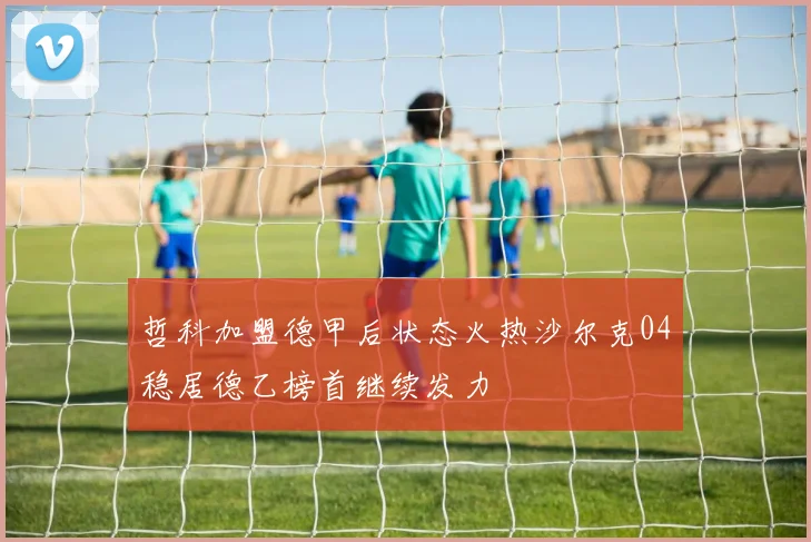 哲科加盟德甲后状态火热沙尔克04稳居德乙榜首继续发力