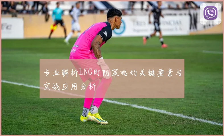 专业解析LNG盯防策略的关键要素与实战应用分析